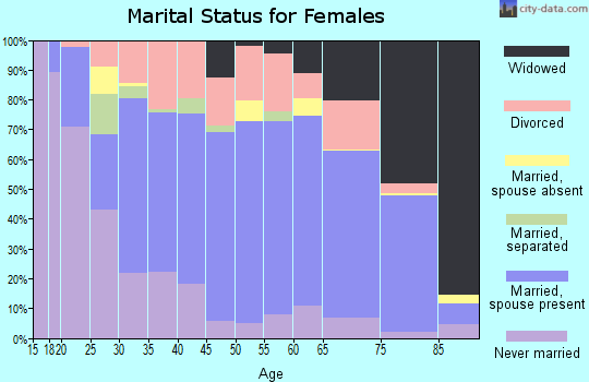 Zip code 49408 marital status for females