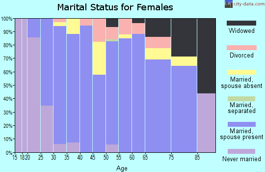 Zip code 49411 marital status for females