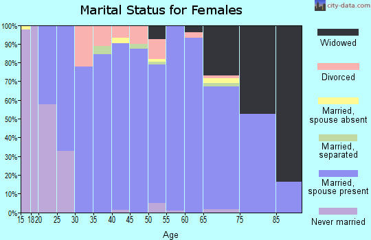 Zip code 49419 marital status for females
