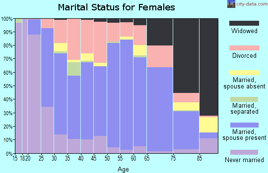 Zip code 49431 marital status for females