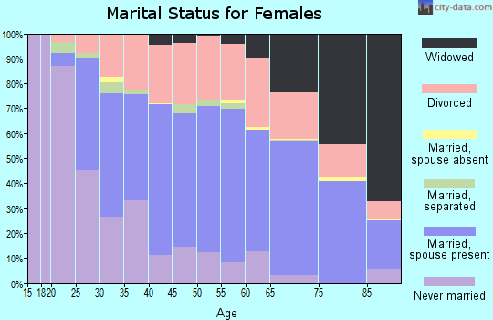Zip code 49441 marital status for females