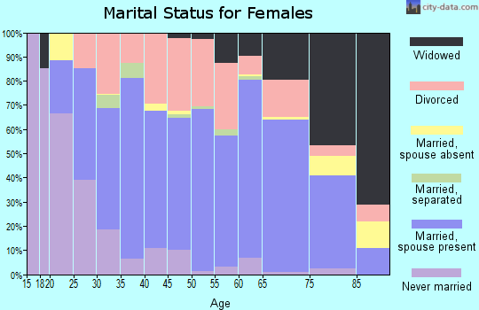 Zip code 49601 marital status for females