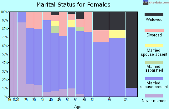 Zip code 49713 marital status for females
