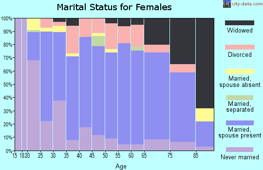 Zip code 49801 marital status for females