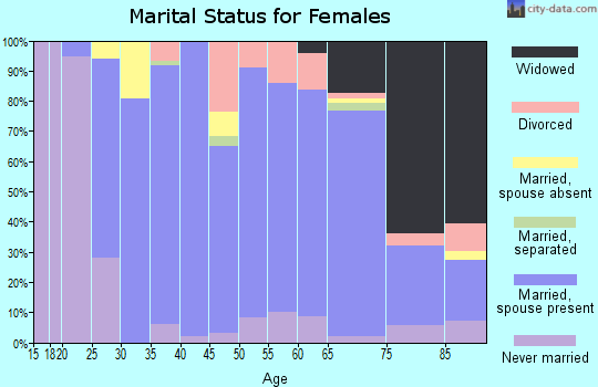Zip code 49807 marital status for females