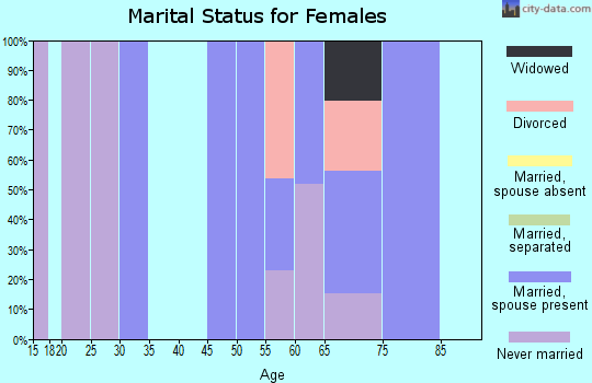Zip code 49808 marital status for females