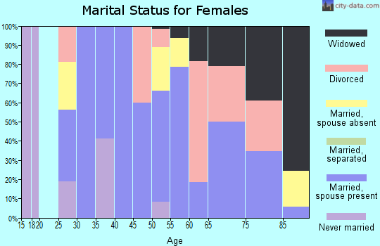 Zip code 49816 marital status for females