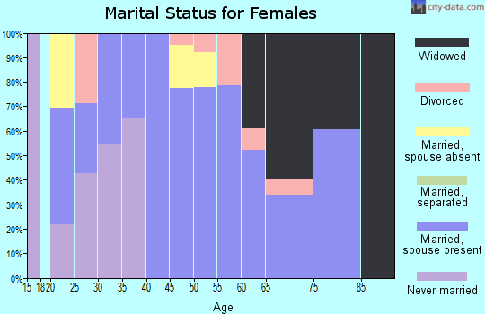 Zip code 49840 marital status for females