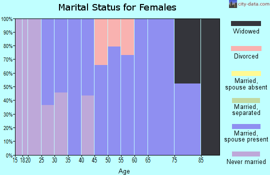 Zip code 49876 marital status for females