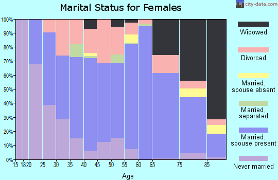 Zip code 51301 marital status for females