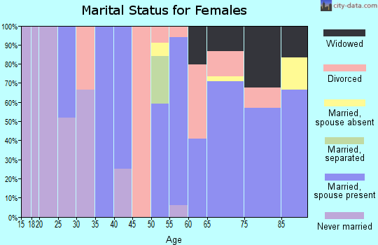 Zip code 51331 marital status for females