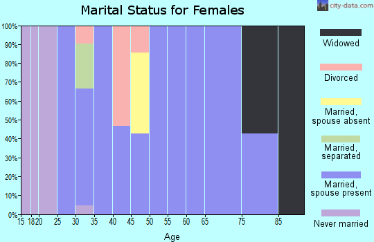 Zip code 51333 marital status for females