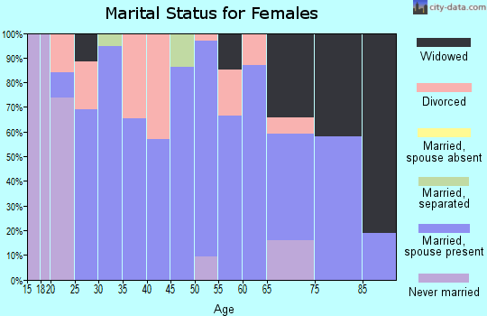 Zip code 51338 marital status for females