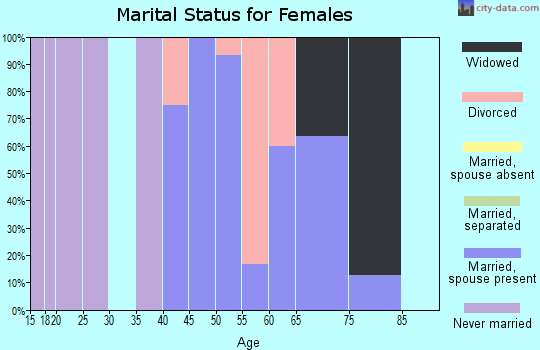 Zip code 51343 marital status for females