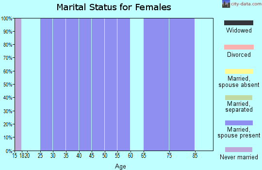 Zip code 52543 marital status for females