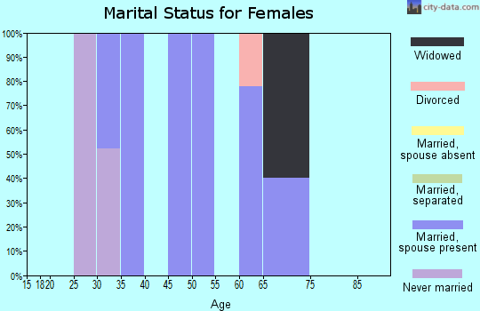 Zip code 53167 marital status for females
