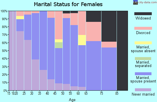 Zip code 53178 marital status for females