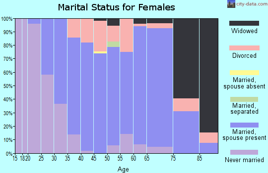 Zip code 53528 marital status for females