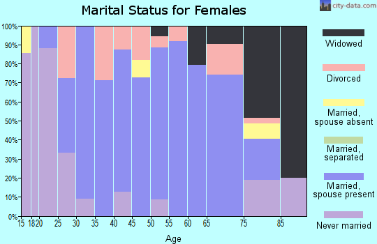 Zip code 53541 marital status for females
