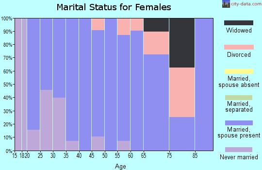 Zip code 54141 marital status for females