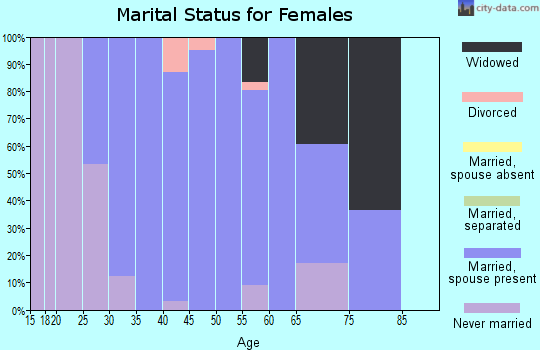 Zip code 54171 marital status for females