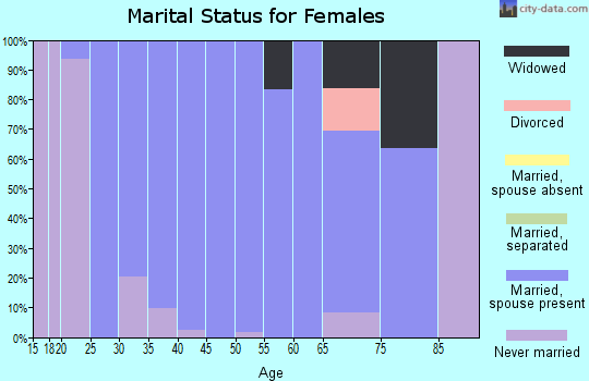 Zip code 54173 marital status for females