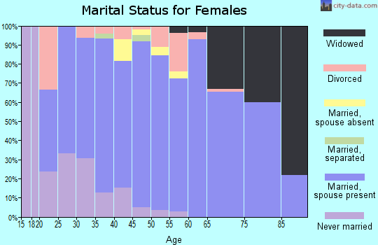 Zip code 54473 marital status for females