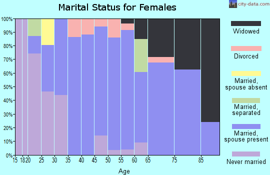 Zip code 54489 marital status for females