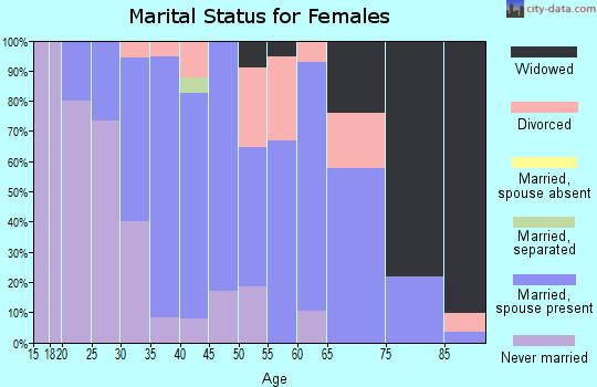 Zip code 55003 marital status for females