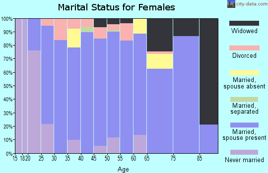 Zip code 55005 marital status for females