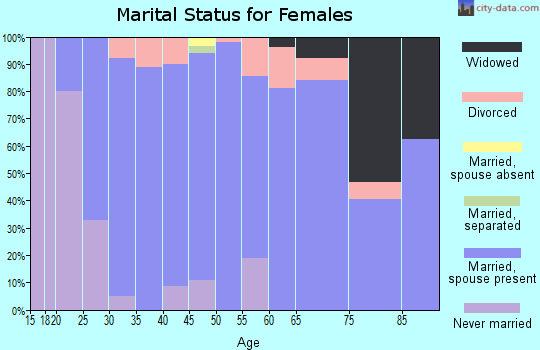 Zip code 55031 marital status for females
