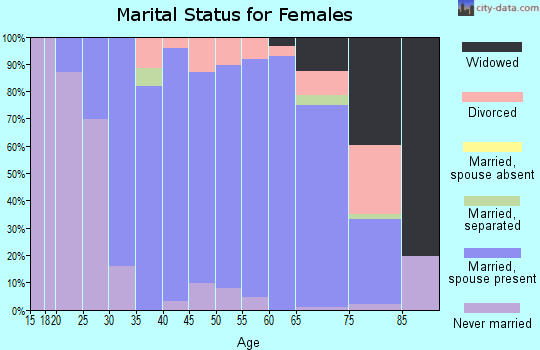 Zip code 55042 marital status for females
