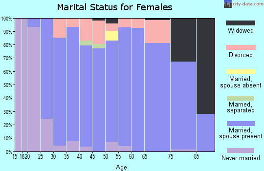 Zip code 55376 marital status for females