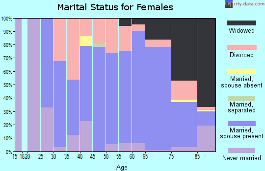 Zip code 55604 marital status for females
