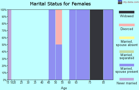 Zip code 55606 marital status for females