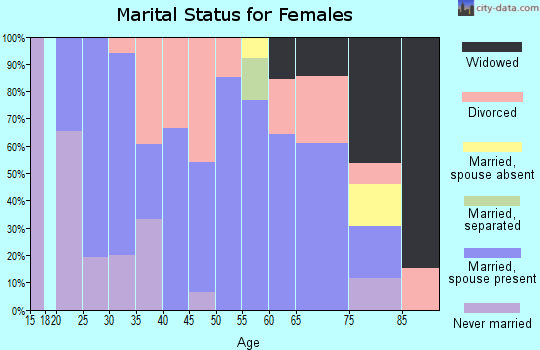 Zip code 55713 marital status for females