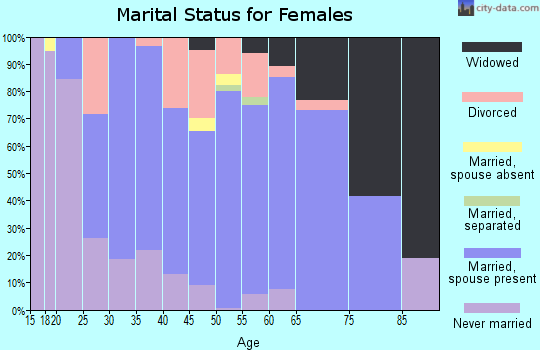 Zip code 55741 marital status for females