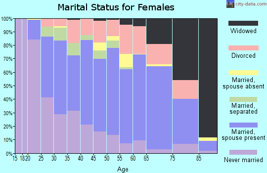 Zip code 55904 marital status for females