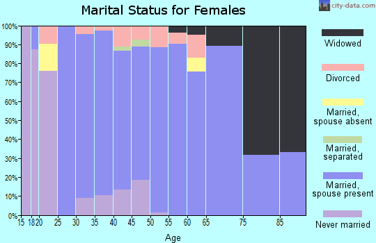 Zip code 55910 marital status for females