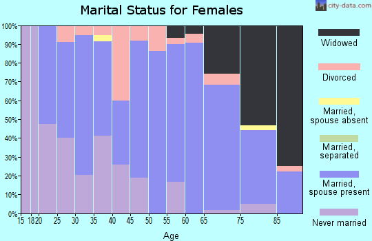 Zip code 55939 marital status for females