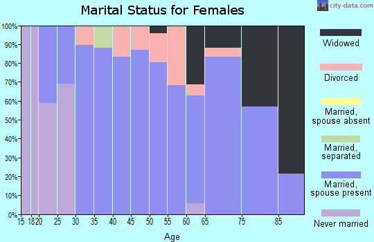 Zip code 55941 marital status for females