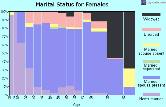 Zip code 55943 marital status for females