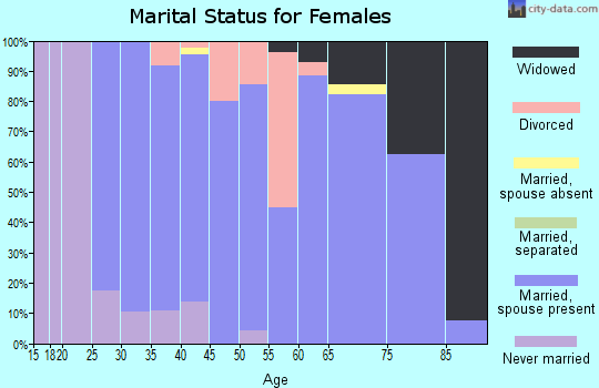 Zip code 55945 marital status for females