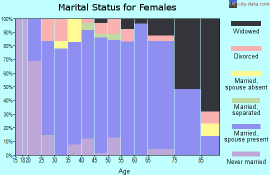 Zip code 55956 marital status for females