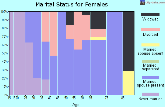 Zip code 55961 marital status for females