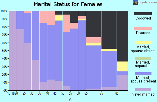Zip code 55963 marital status for females