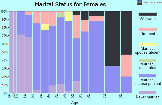 Zip code 55967 marital status for females