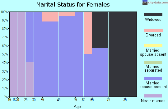 Zip code 55988 marital status for females