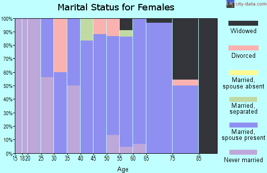 Zip code 56132 marital status for females