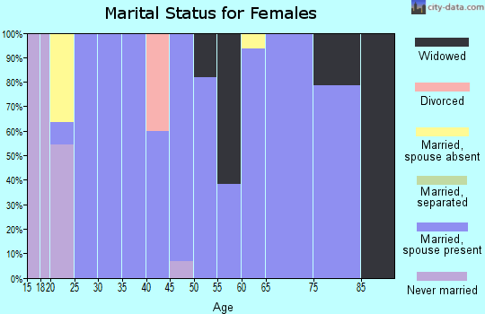 Zip code 56155 marital status for females